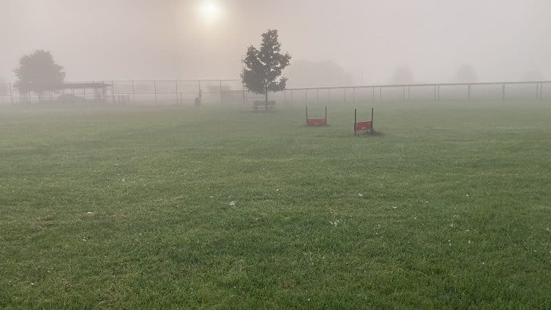 Diamond Dogs Dog Park - Cincinnati, OH