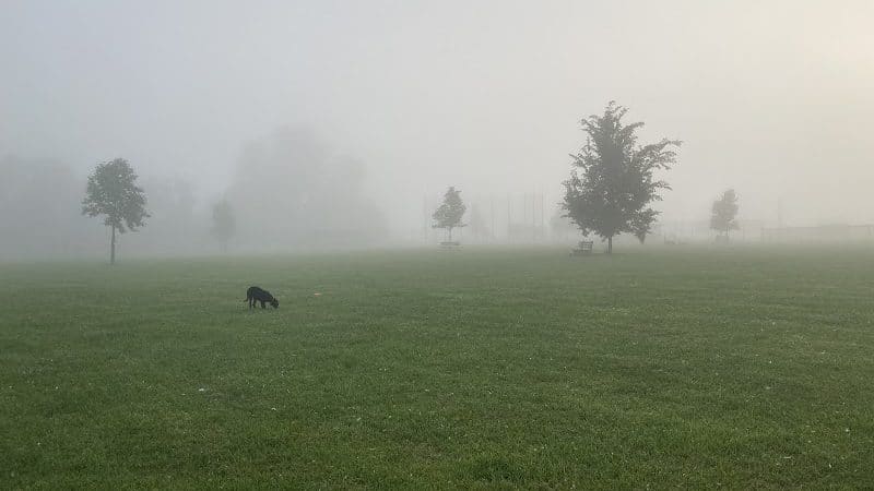 Diamond Dogs Dog Park - Cincinnati, OH