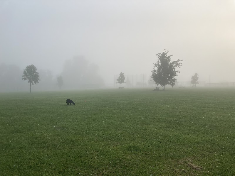 Diamond Dogs Dog Park - Cincinnati, OH
