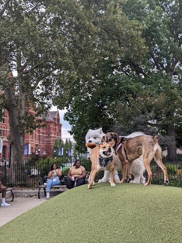 Dog Park at Washington Park