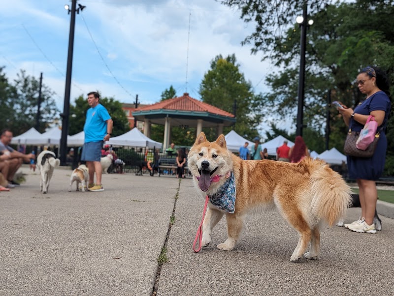 Dog Park at Washington Park - Cincinnati, OH