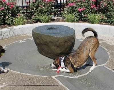 Dog Park at Washington Park - Cincinnati, OH