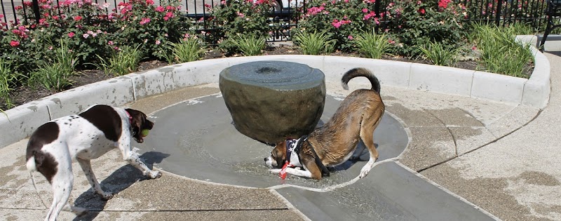 Dog Park at Washington Park - Cincinnati, OH