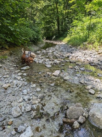 Dogwood Park - Cincinnati, OH