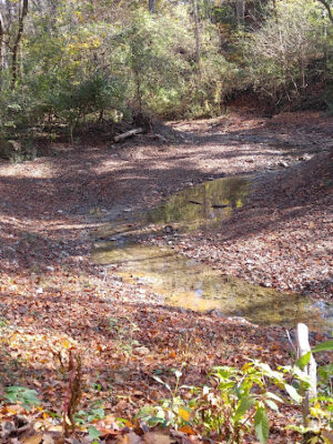 Dogwood Park