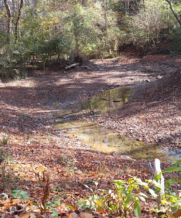 Dogwood Park