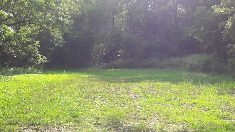 Dogwood Park - Cincinnati, OH