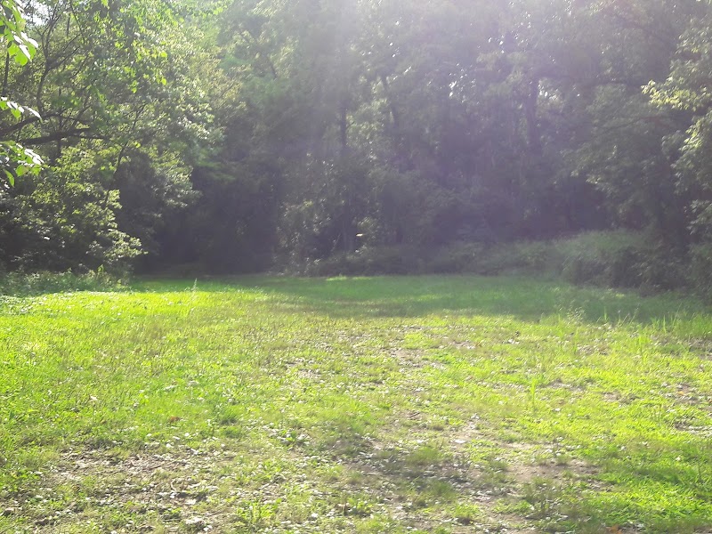Dogwood Park - Cincinnati, OH
