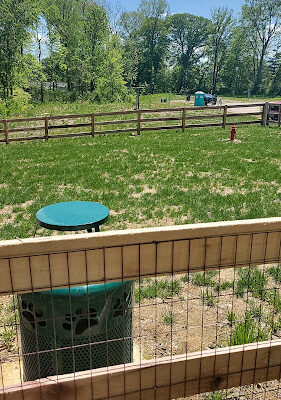 Dunlap Grove HOA Dog Park