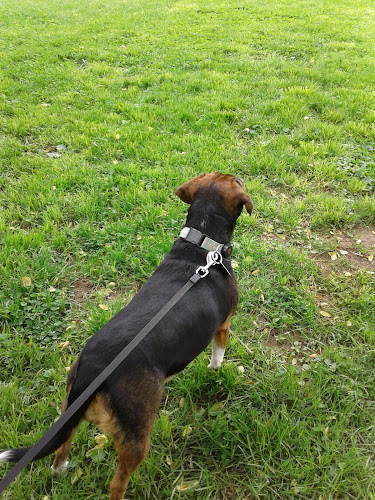Dunore Park