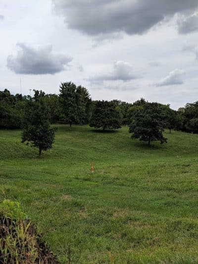 Embshoff Woods - Cincinnati, OH