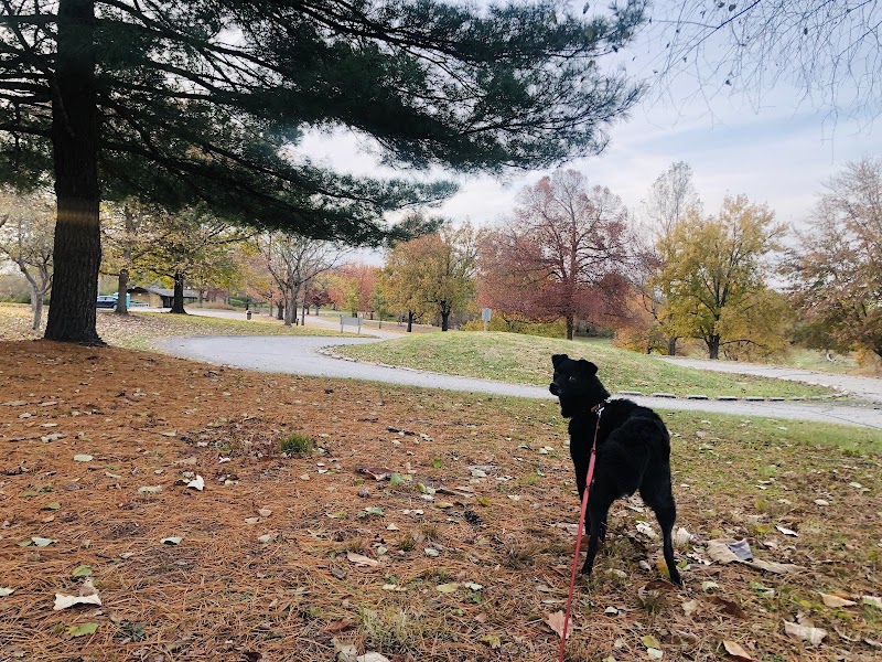 Embshoff Woods - Cincinnati, OH