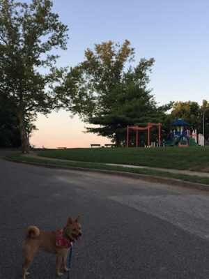 Fairview Park