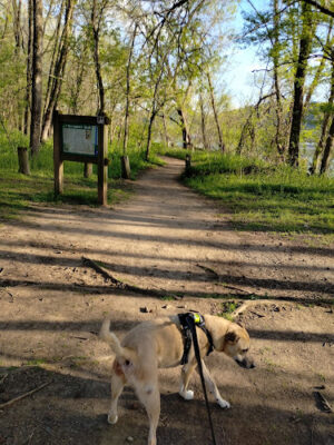 Fernbank Park