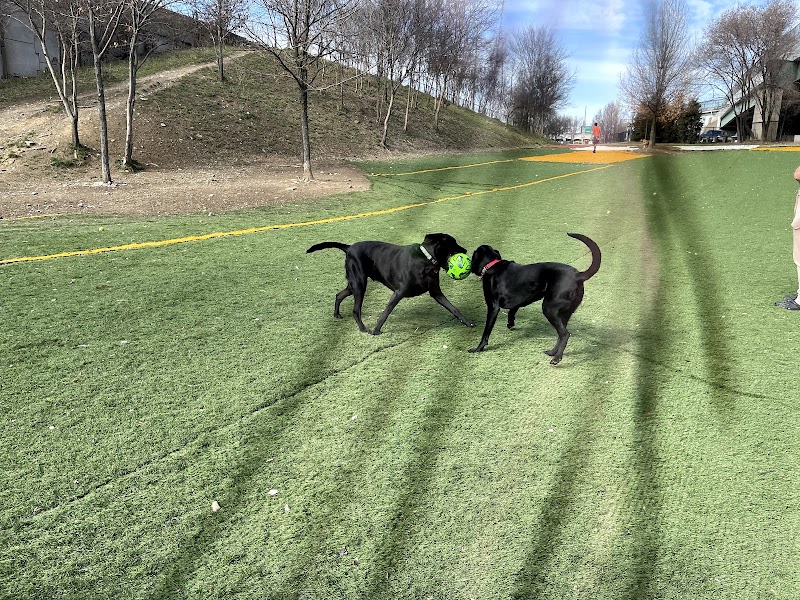 Fido Field - Cincinnati, OH