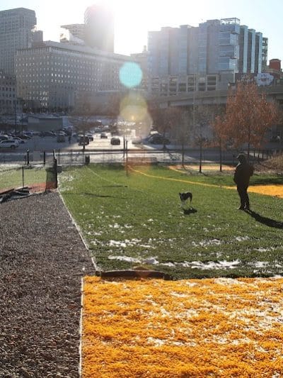 Fido Field - Cincinnati, OH
