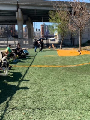 Fido Field