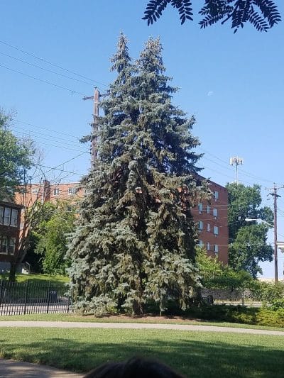 Fleischmann Gardens - Cincinnati, OH