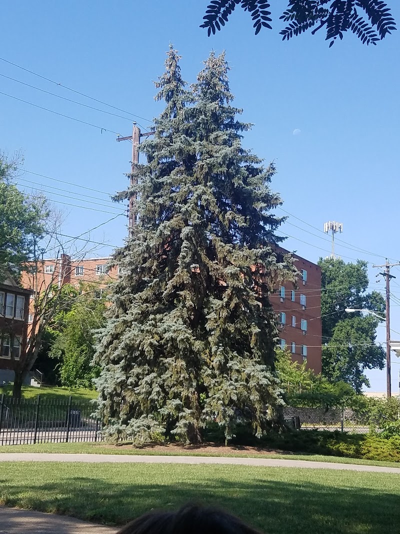 Fleischmann Gardens - Cincinnati, OH