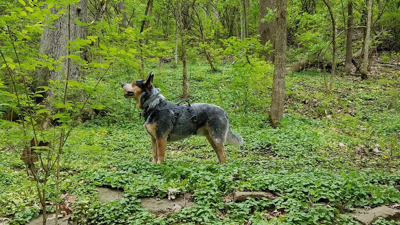 Fox Preserve - Cincinnati, OH