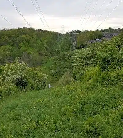 Fox Preserve - Cincinnati, OH
