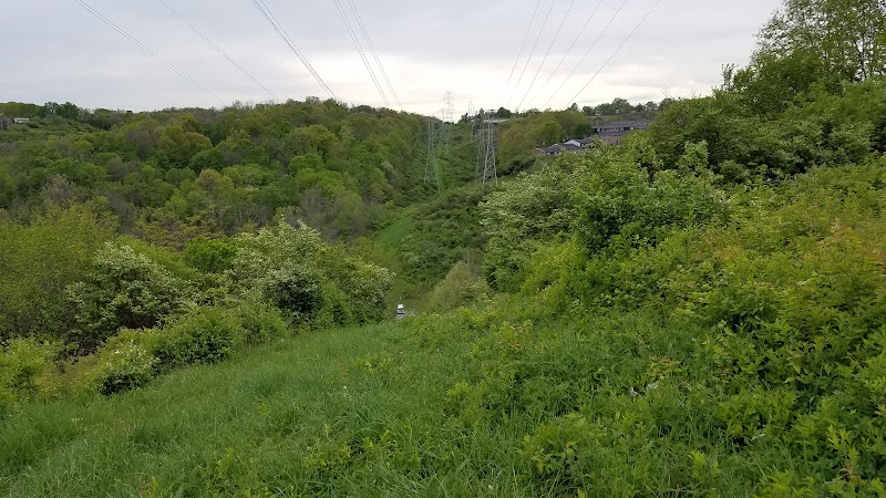 Fox Preserve - Cincinnati, OH