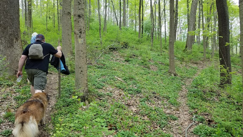 Fox Preserve - Cincinnati, OH