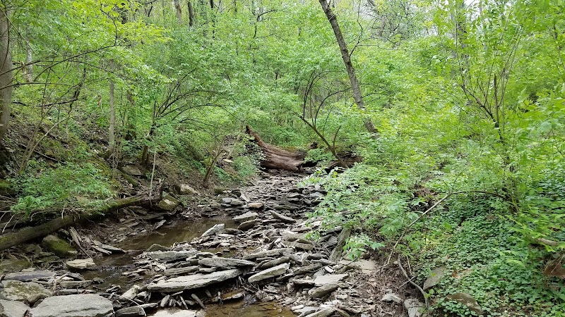 Fox Preserve - Cincinnati, OH
