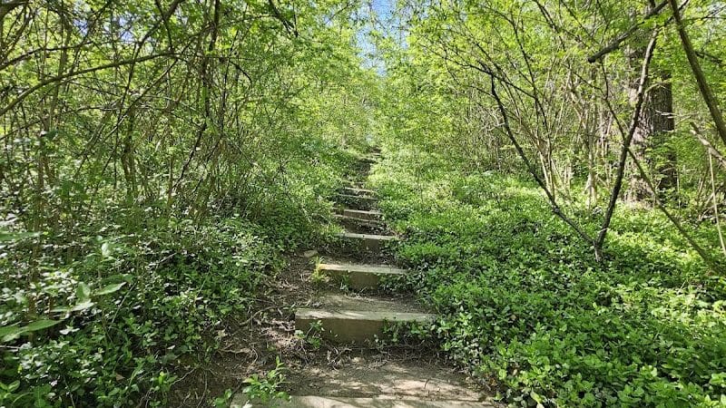 French Park - Cincinnati, OH