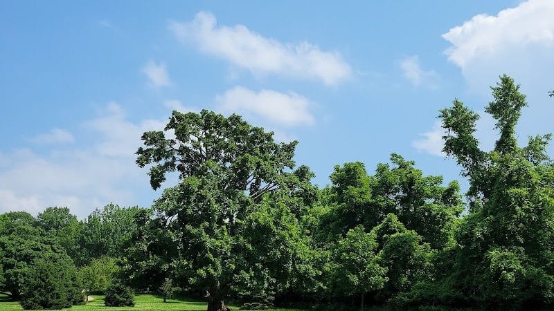 French Park - Cincinnati, OH