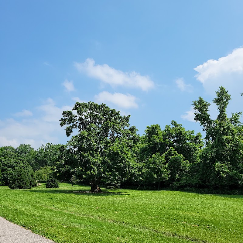 French Park - Cincinnati, OH