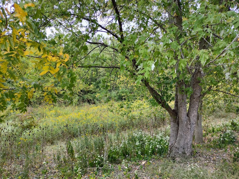 French Park - Cincinnati, OH