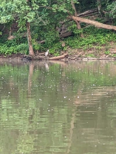 Great Parks of Hamilton County - Cincinnati, OH