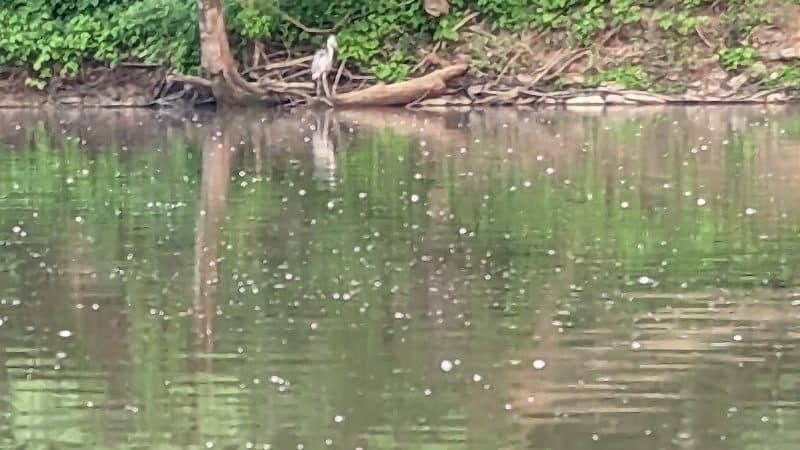 Great Parks of Hamilton County - Cincinnati, OH