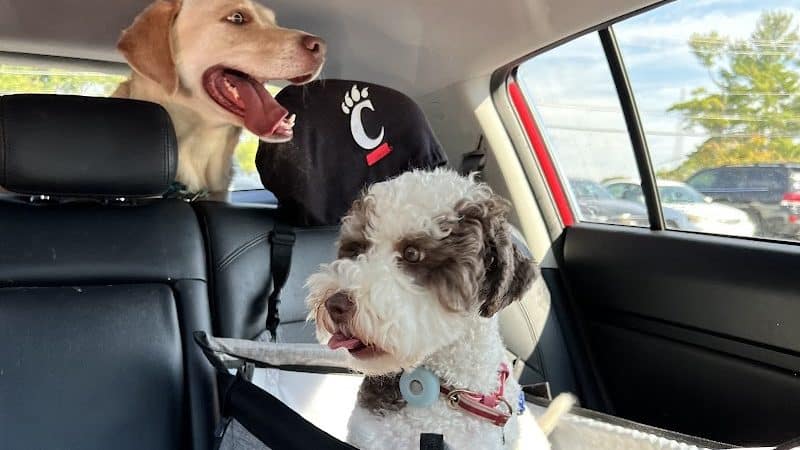 Happy Paws - Cincinnati, OH