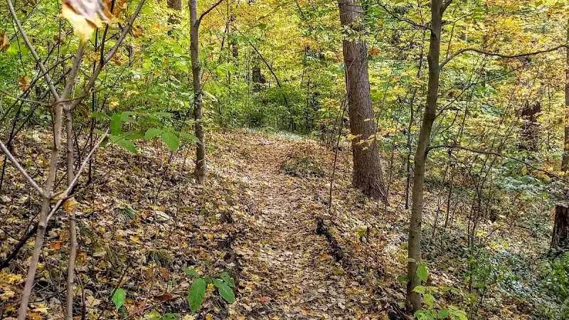 Hillside Park - Cincinnati, OH
