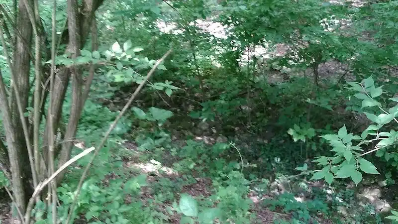 Hillside Park - Cincinnati, OH