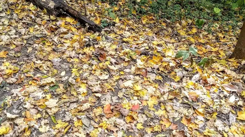 Hillside Park - Cincinnati, OH