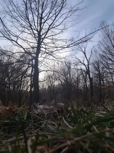 Hopkins Park - Cincinnati, OH