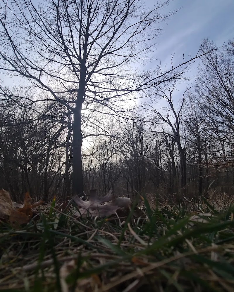 Hopkins Park - Cincinnati, OH