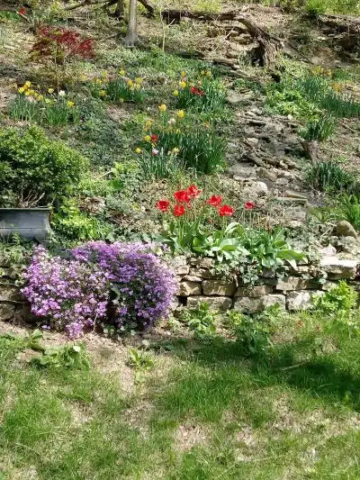 Hopkins Park - Cincinnati, OH