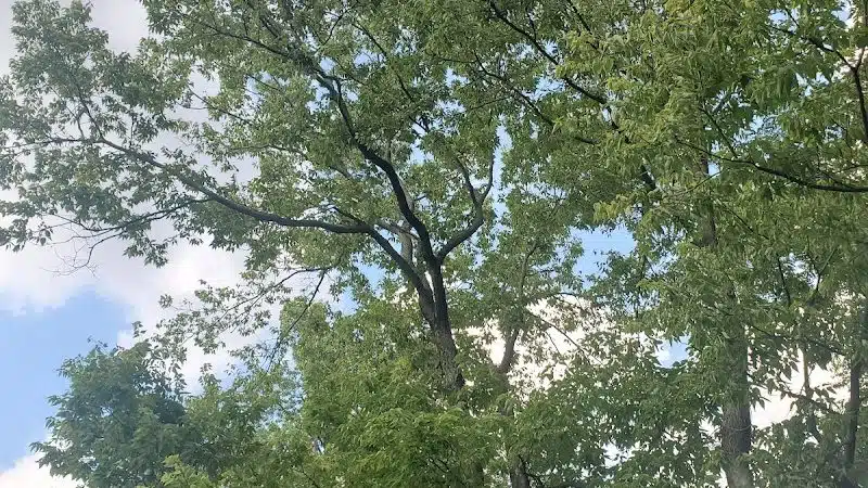Hunt Park - Cincinnati, OH