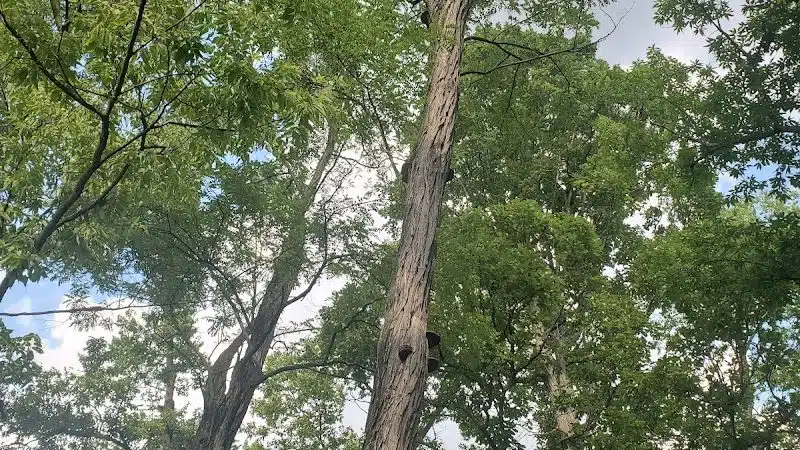 Hunt Park - Cincinnati, OH