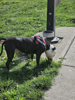 Inwood Park