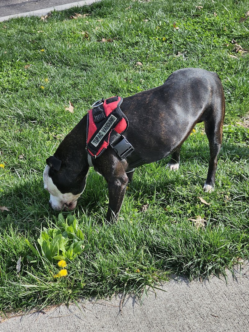 Inwood Park - Cincinnati, OH