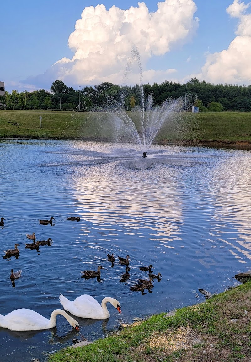 Ivy Pointe Park - Cincinnati, OH
