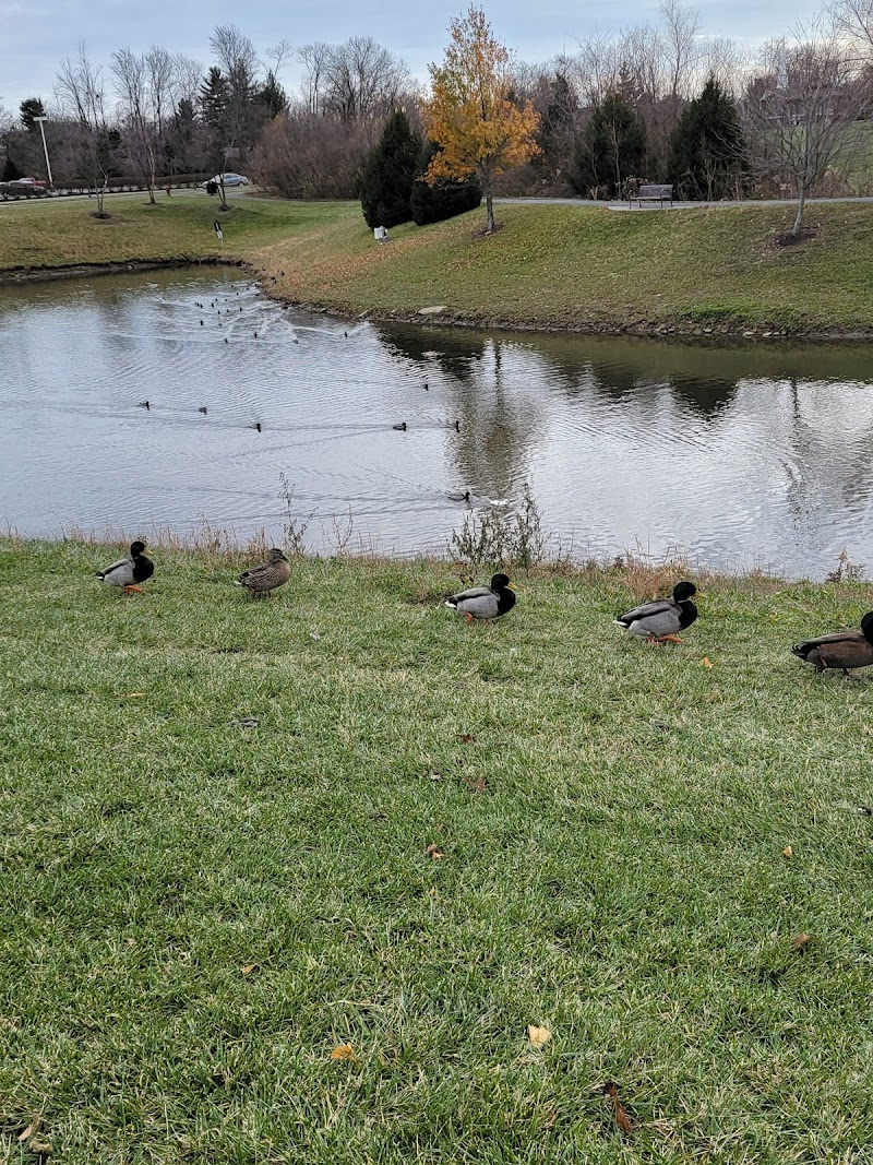 Ivy Pointe Park - Cincinnati, OH