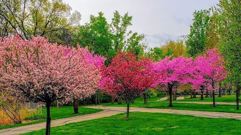Juilfs Park - Cincinnati, OH