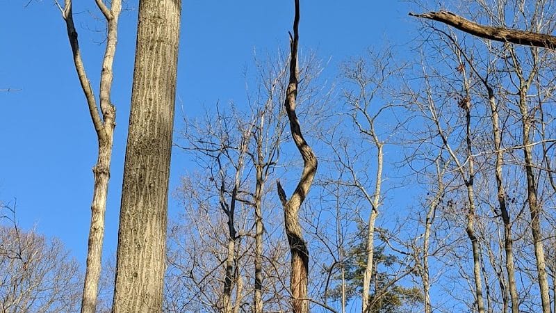 LaBoiteaux Woods Nature Center - Cincinnati, OH