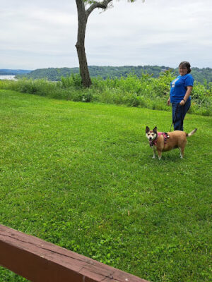 Larz Anderson Park